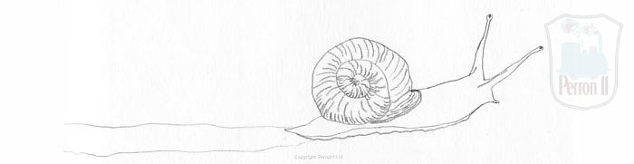 Schetsje van slak illustratie bij artikel